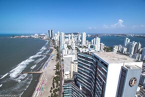 Palmetto Beach by MOME