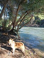 Refugio Silvestre