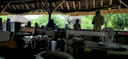 Bwana Tembo Safari Camp