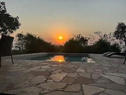 Bwana Tembo Safari Camp