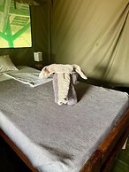Bwana Tembo Safari Camp