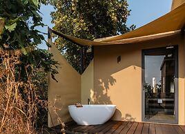 Outpost 12 - A Sinali Experience - Kanha