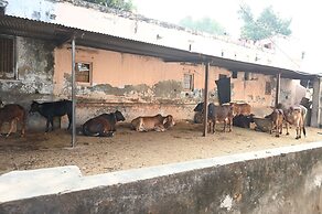 Siddhivinayak Temple Guest House