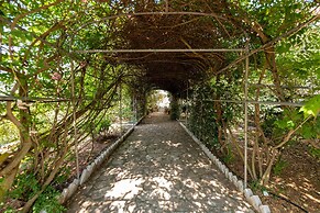 Odyssey s Palace - Escape in Mythical Ithaca
