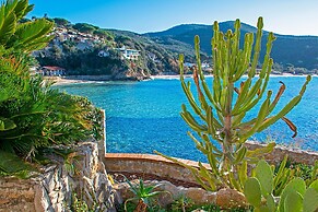 The Boat Isola d Elba