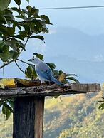 De las flores glamping