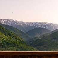 Motives Inn Dilijan