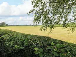12 Field View