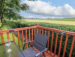 12 Field View