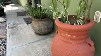 Botanical Studios Sayulita