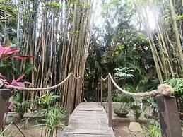 Botanical Studios Sayulita