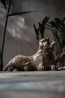 Casa Coyote Holbox