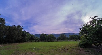 Tehla Bagh