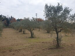 VioVillas Agriturismo Glamping Arezzo