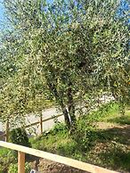 VioVillas Agriturismo Glamping Arezzo