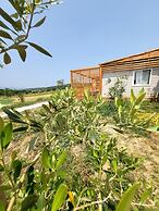 VioVillas Agriturismo Glamping Arezzo