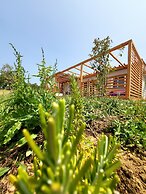 VioVillas Agriturismo Glamping Arezzo