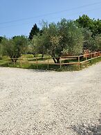 VioVillas Agriturismo Glamping Arezzo