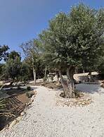 Maison Mahana