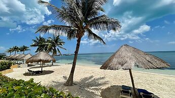 tropical apartment