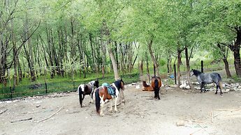 Royal View Lodge