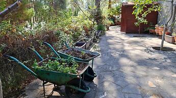 Charming Villa in Moniatis, Cyprus - Private Pool & Garden
