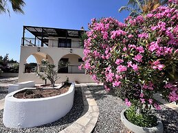 Charming Erimi Villa With Private Pool and Garden View