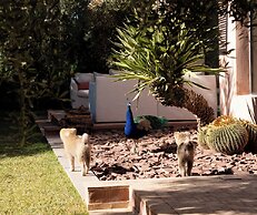 Jardin Sakina