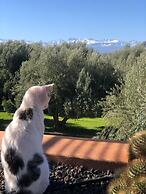Jardin Sakina