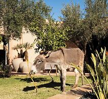 Jardin Sakina