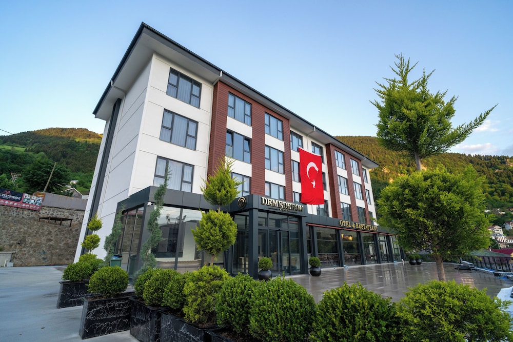 DEMEDERON HOTEL