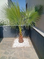 Nea Vrasna Sun House