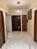 Suite 41