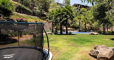 Vista del Bosque