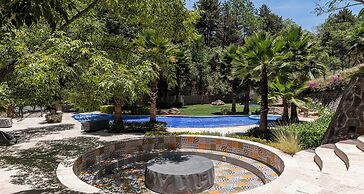 Vista del Bosque