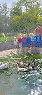 Hosteria y Camping WiM