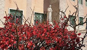 Il Trullo dell'Immacolata