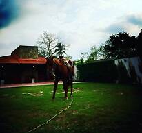LOS FUNDADORES estancia ecológica