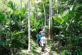 Las Caribeñas - 10