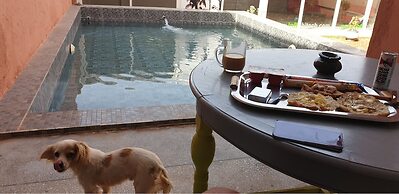 Chateau Nougat Marrakech