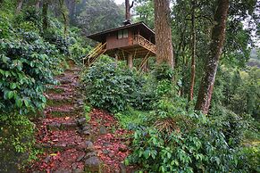 Seven Springs Plantation Resort