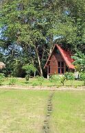 VR Nature Cottage