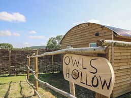 Owl's Hollow