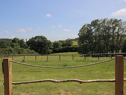 Owl's Hollow