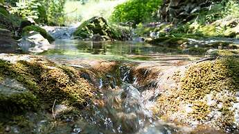 Chuncheon Haven Forest Pension