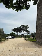 Torre Menerva Viterbo