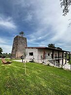 Torre Menerva Viterbo