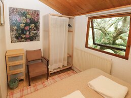 The Tree House