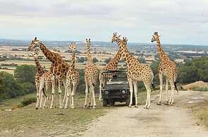 Big2vacation2 Exclusive at new Beach Caravan Park