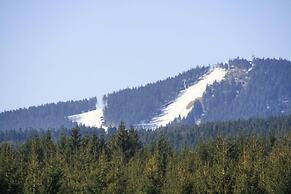 Apartment Braunlage Near Wurmberg Ski Area